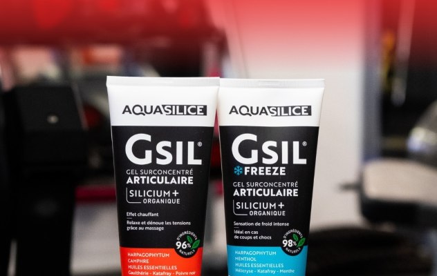 GSIl 2