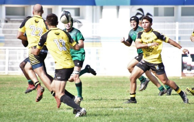 rugby rugby