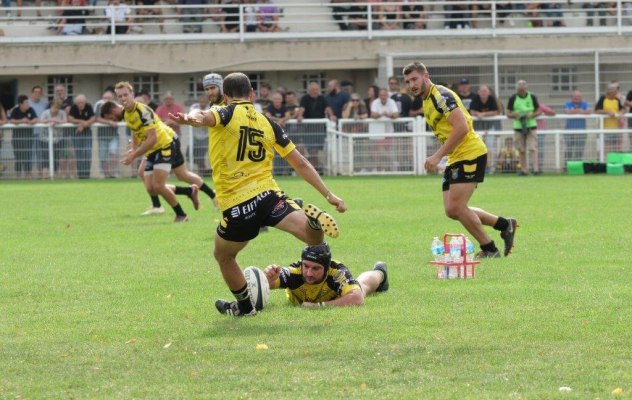 Micka au pied Micka au pied