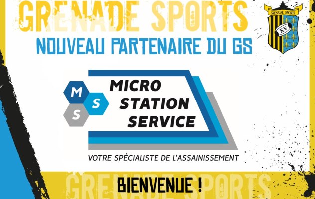 Microstationservice Microstationservice