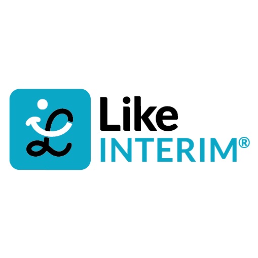LIKE INTERIM